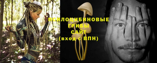 jwh Белокуриха