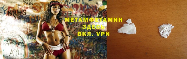 гидра Богданович