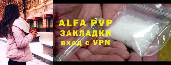 гидра Богданович
